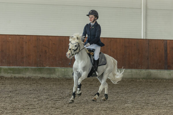 MG_8831