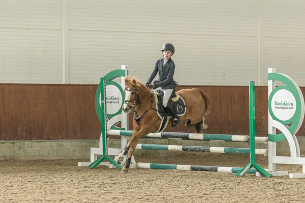 MG_3041