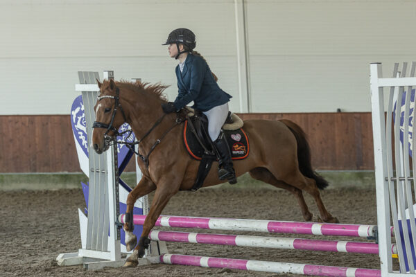 MG_8734