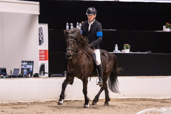 MG_8444
