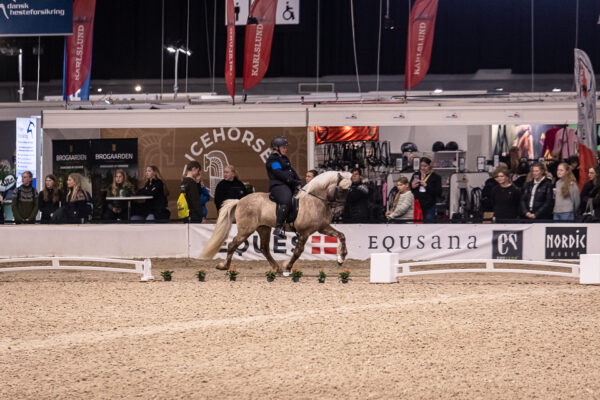 MG_9242