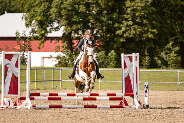 MG_4018