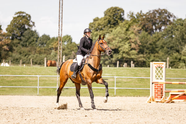 MG_6972