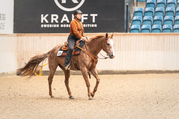 MG_4094