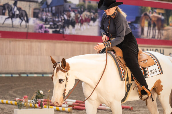 MG_5256