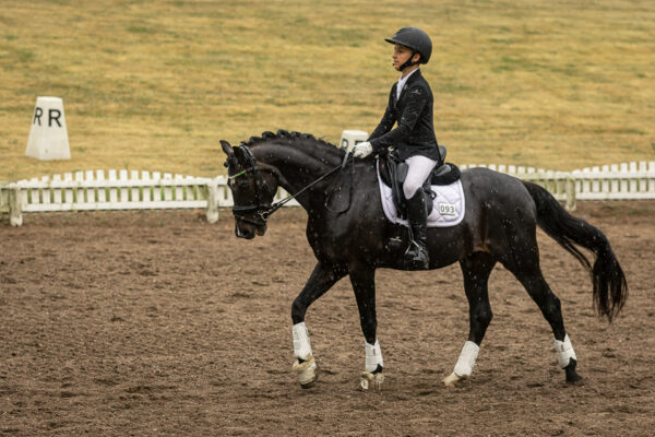 MG_9563