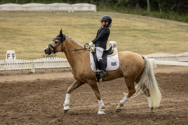 MG_8579