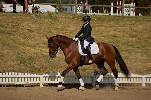 MG_1228