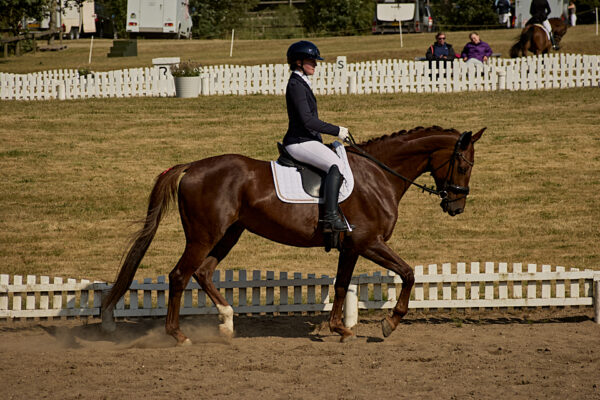 MG_1590