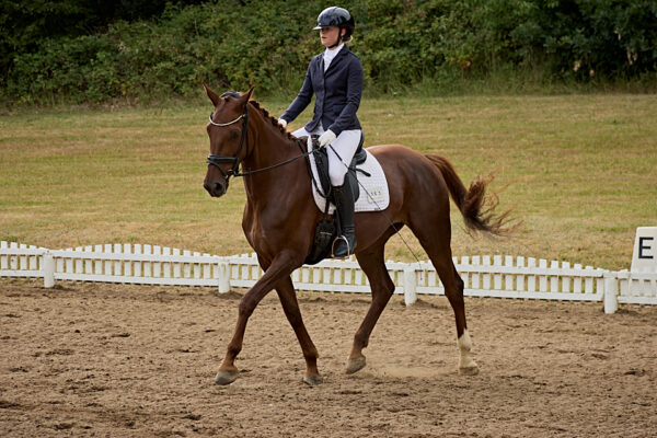 MG_3108