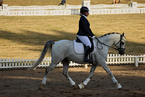 MG_3648