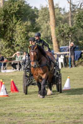 MG_6819