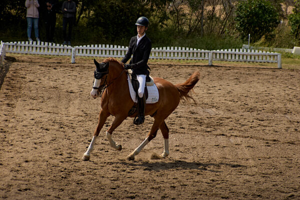 MG_5170
