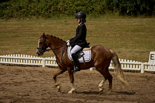 MG_5010