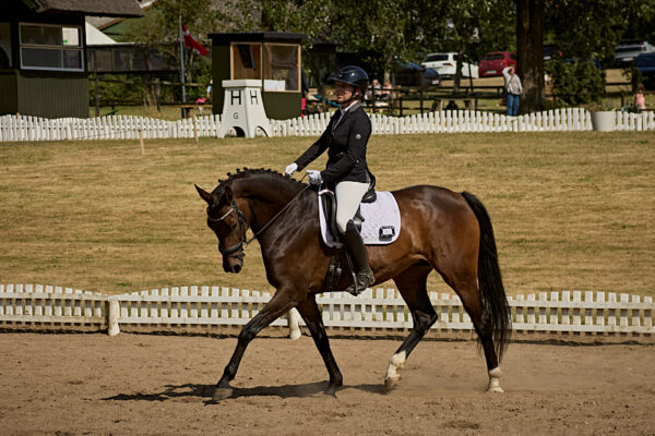 MG_0973-1