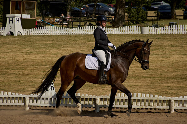 MG_0998-1