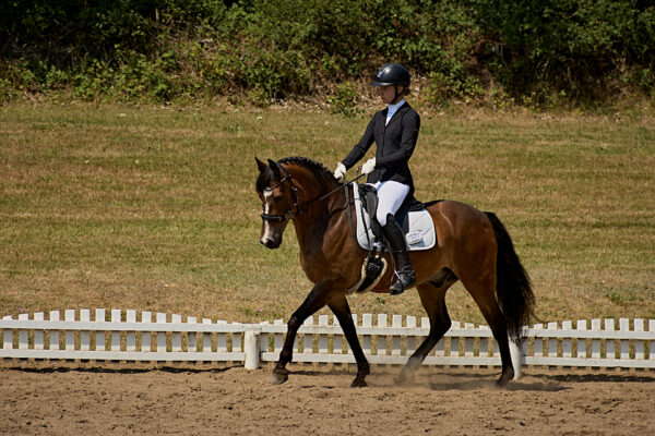 MG_5652