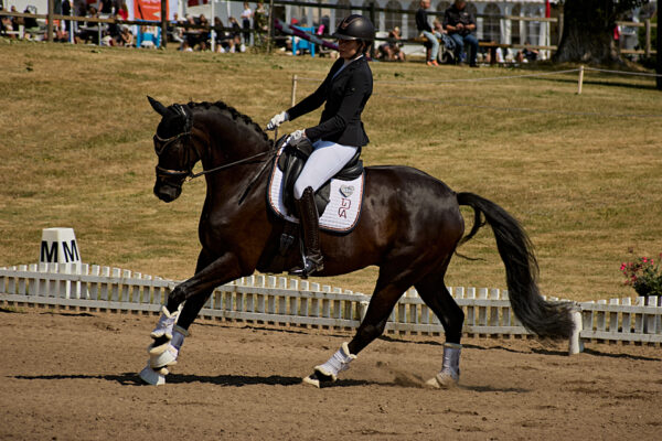 MG_6347