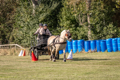 MG_8090