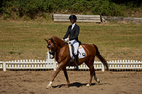 MG_9565