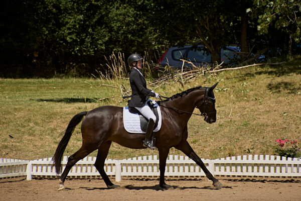 MG_0066
