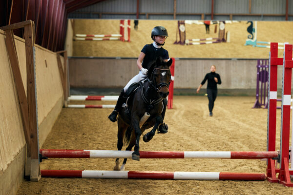20230917_100433_20230917_100433__MG_3204