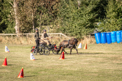 MG_6352