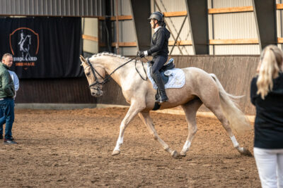 MG_0093-3