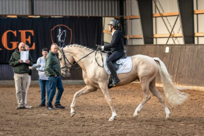 MG_0097-3