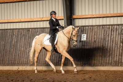 MG_0201-2