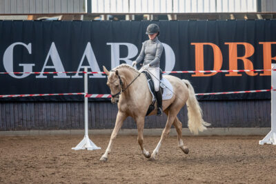 MG_0254-2