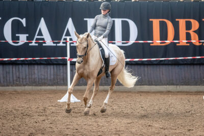 MG_0268-2