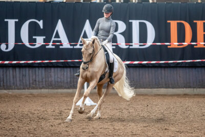 MG_0270-2