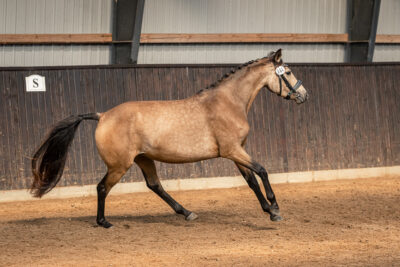 MG_0046-2