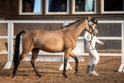 MG_0512-2