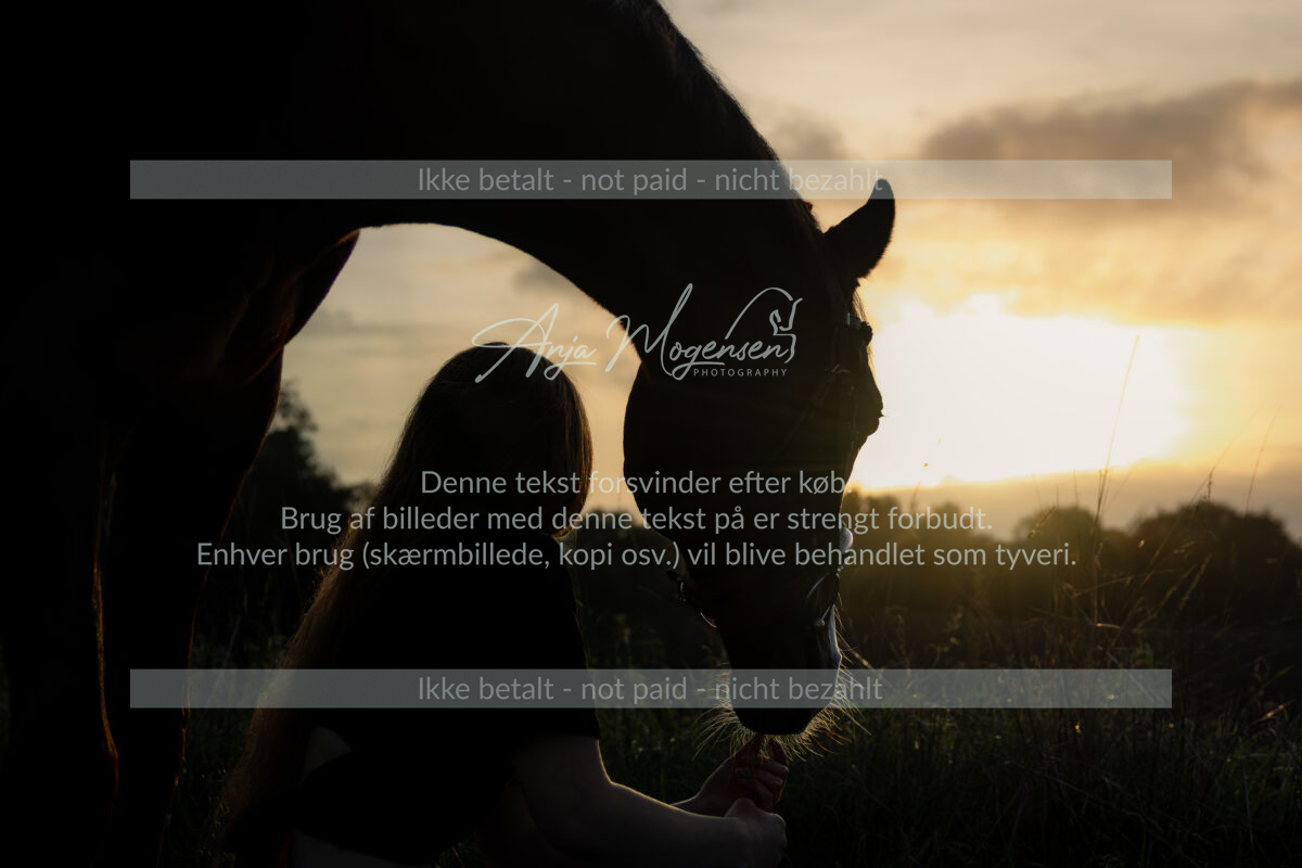 MG_6437-Edit