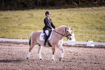 MG_3622-klein-2