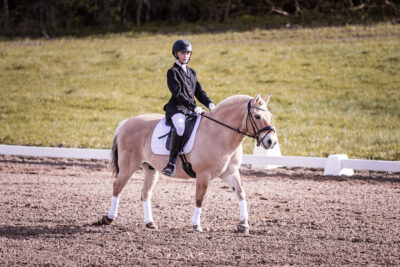 MG_3623-klein-2