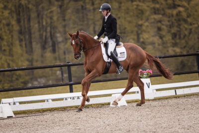 MG_1797-2