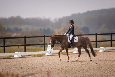 MG_0019-2