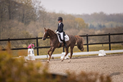 MG_0056-2