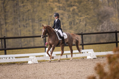 MG_0060-2