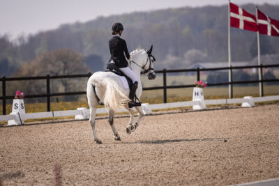 MG_1744-2