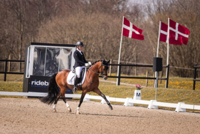 MG_2010-2