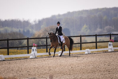 MG_3098-klein-2