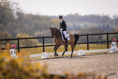 MG_3102-klein-2