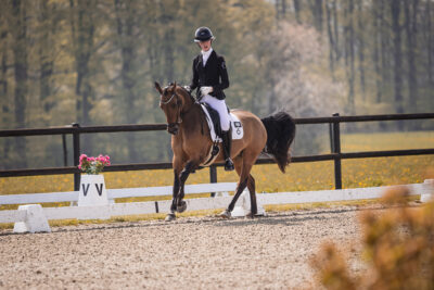 MG_3129-klein-2