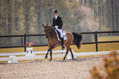 MG_3130-klein-2