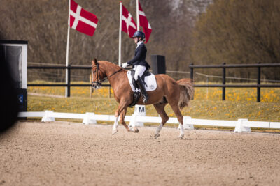 MG_1634-2