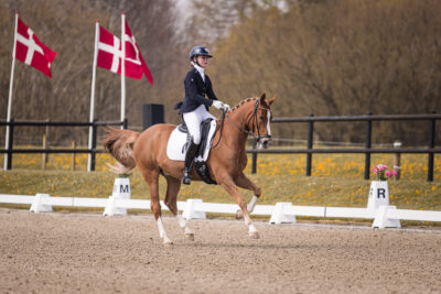 MG_1643-2
